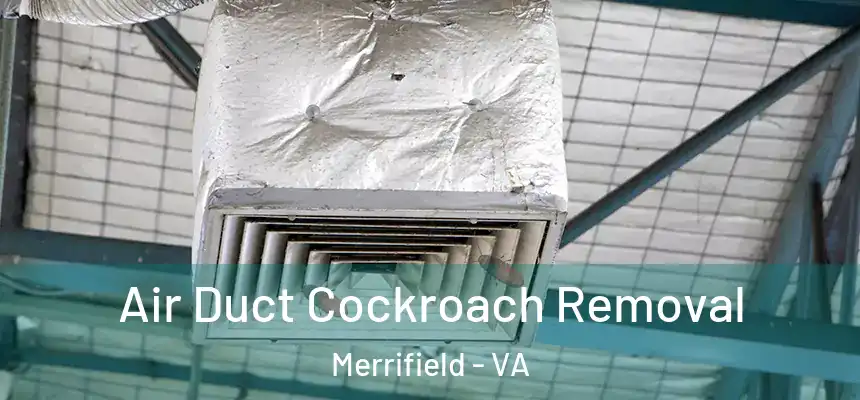 Air Duct Cockroach Removal Merrifield - VA