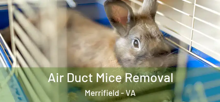  Air Duct Mice Removal Merrifield - VA