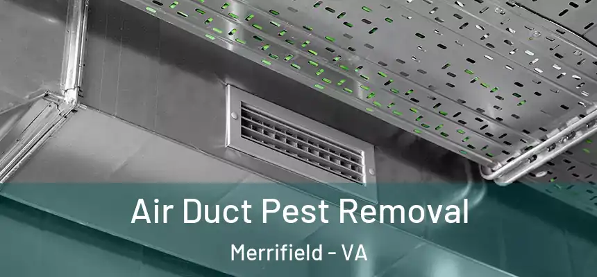 Air Duct Pest Removal Merrifield - VA