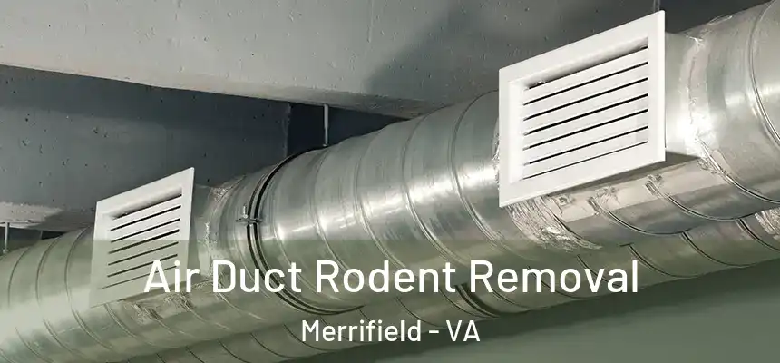 Air Duct Rodent Removal Merrifield - VA