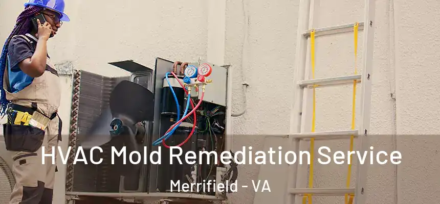  HVAC Mold Remediation Service Merrifield - VA