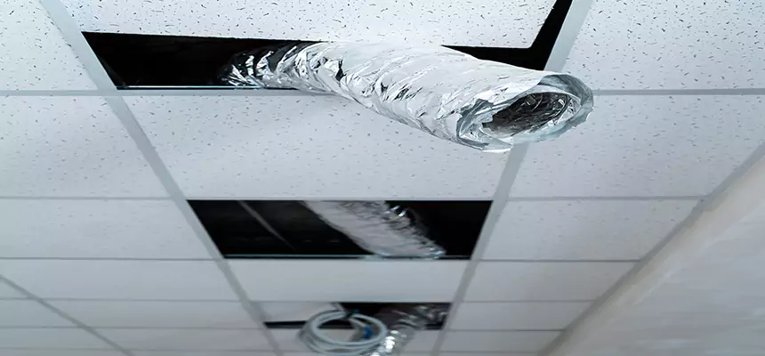 Affordable HVAC Sanitizing After Pest Removal in Merrifield