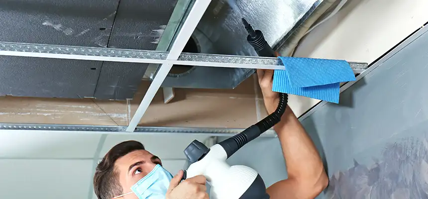 Our Air Duct Rodent Removal Services in Merrifield, VA