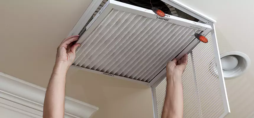 Our Insect Removal from Air Ducts Services in Merrifield, VA