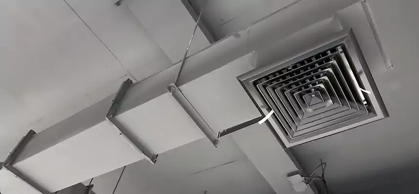 Our Rodent Droppings In Vents Services in Merrifield, VA