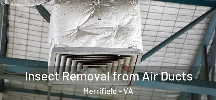  Insect Removal from Air Ducts Merrifield - VA