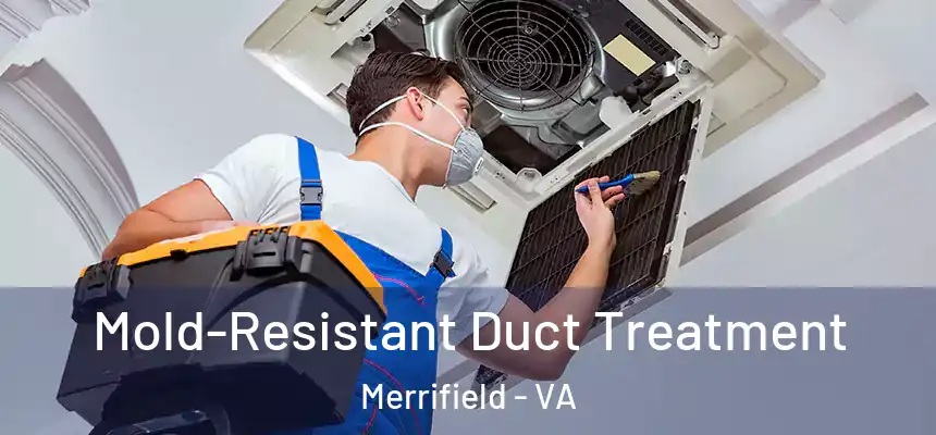 Mold-Resistant Duct Treatment Merrifield - VA
