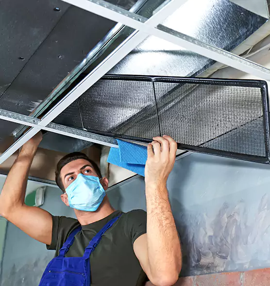 Professional Air Duct Pollen Cleaning in Merrifield, VA