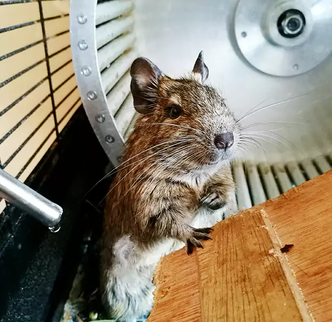 Why Homeowners & Businesses Trust Us Merrifield, VA